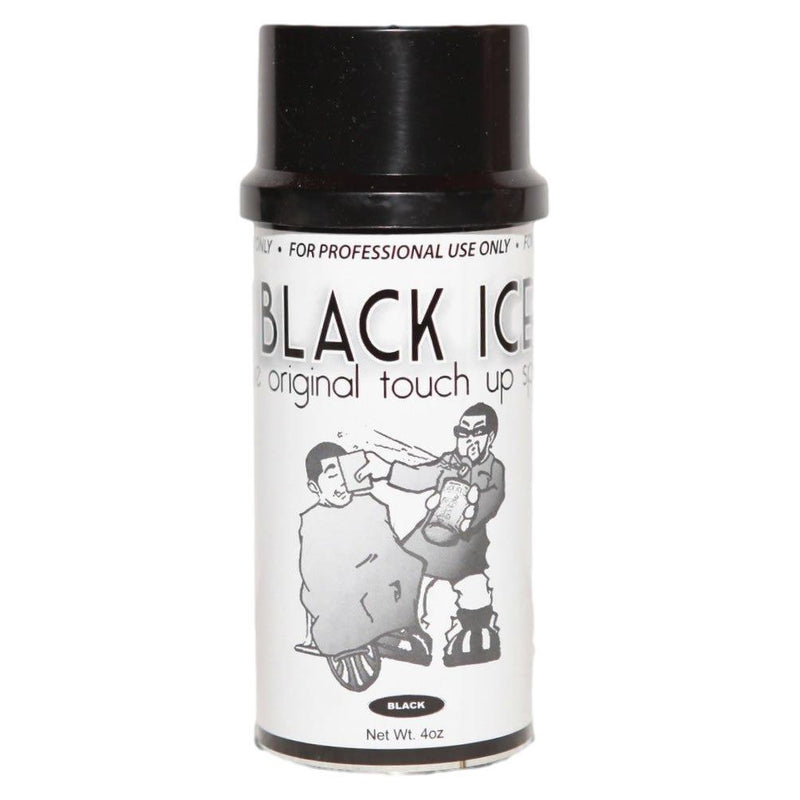 Black Ice Touch Up Spray 4oz
