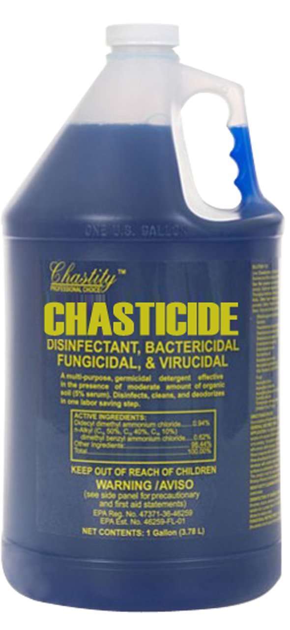 Chastity Chasticide Disinfectant